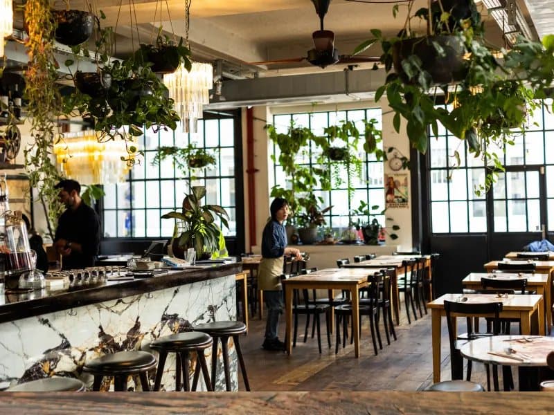 A restaurant interior with hanging plants, shot for Genusshelden